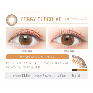 Ever Color 1day LUQUAGE 11選色 日拋 每盒10片